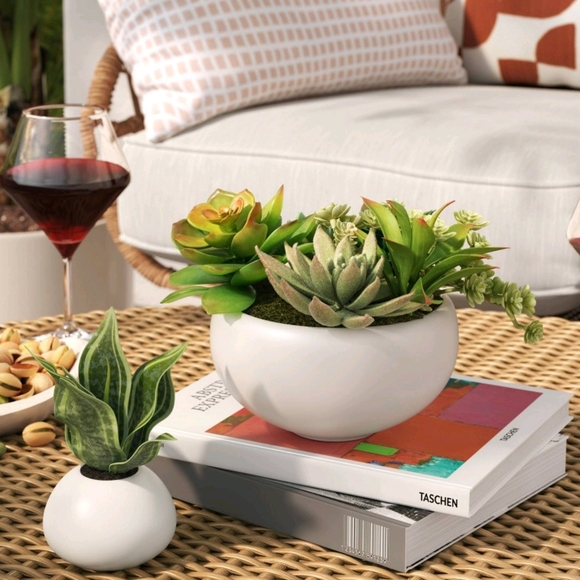 Threshold NWT 6.5" Tray Succulents Artificial Plant Ceramic Pot - Indoor/Outdoor - Picture 2 of 6